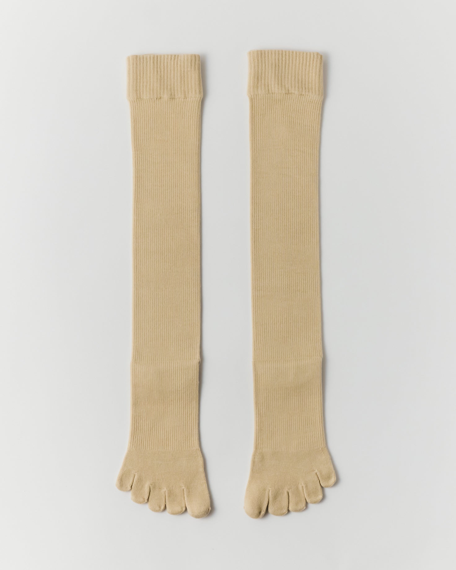 legitude socks