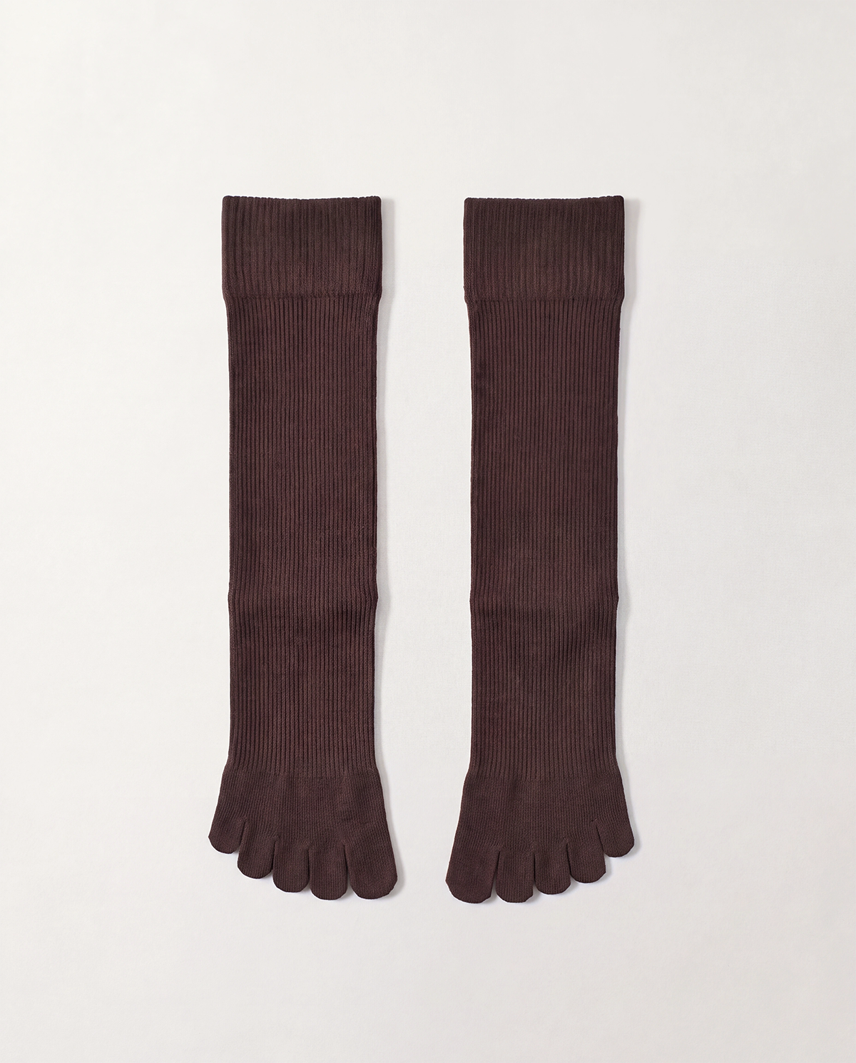 legitude short socks