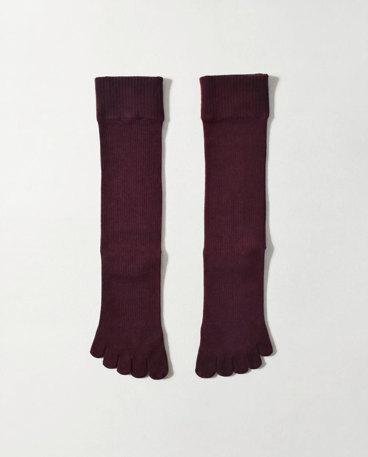legitude short socks