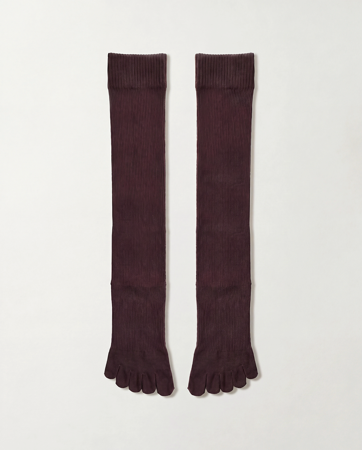 legitude socks
