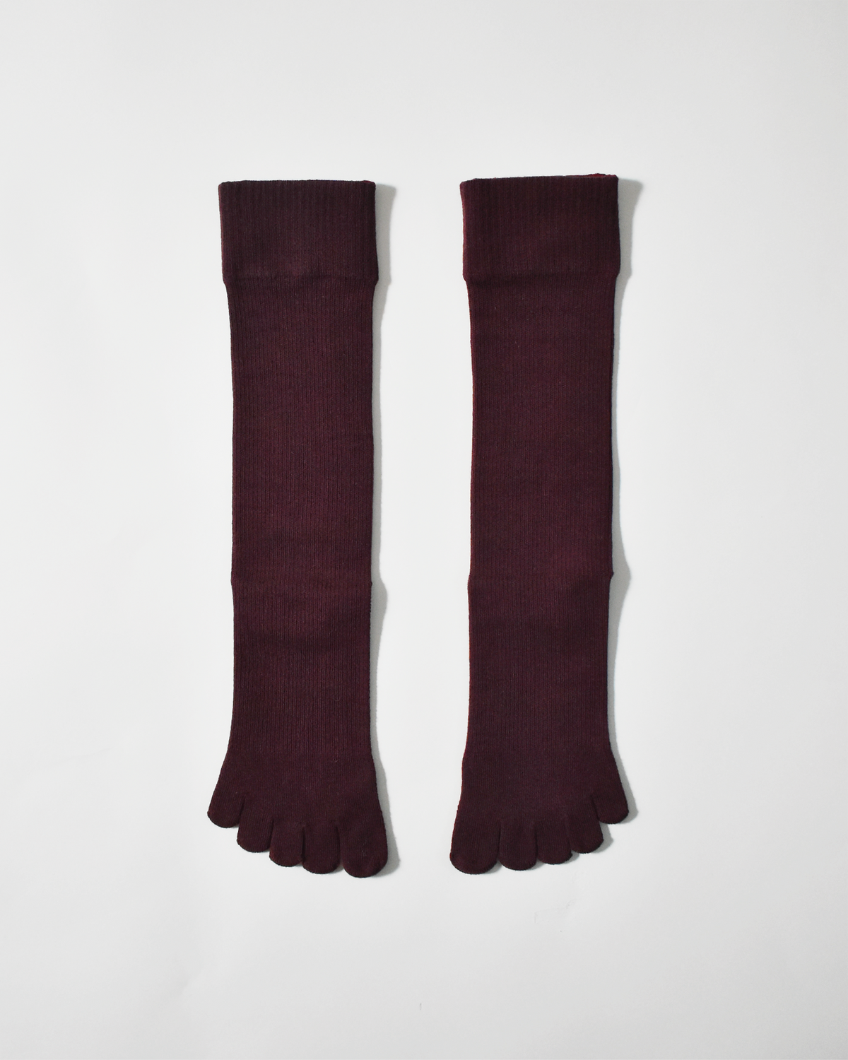 legitude short socks
