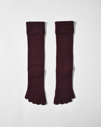 legitude short socks