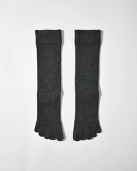 legitude short socks