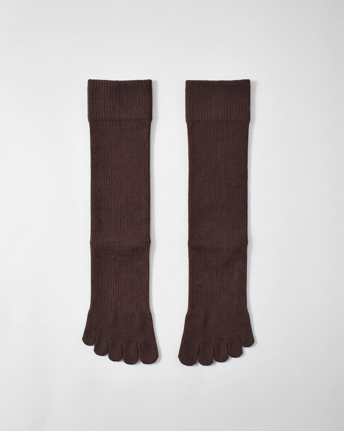 legitude short socks