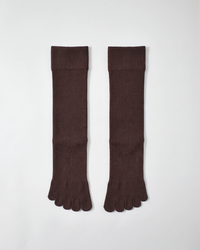 legitude short socks