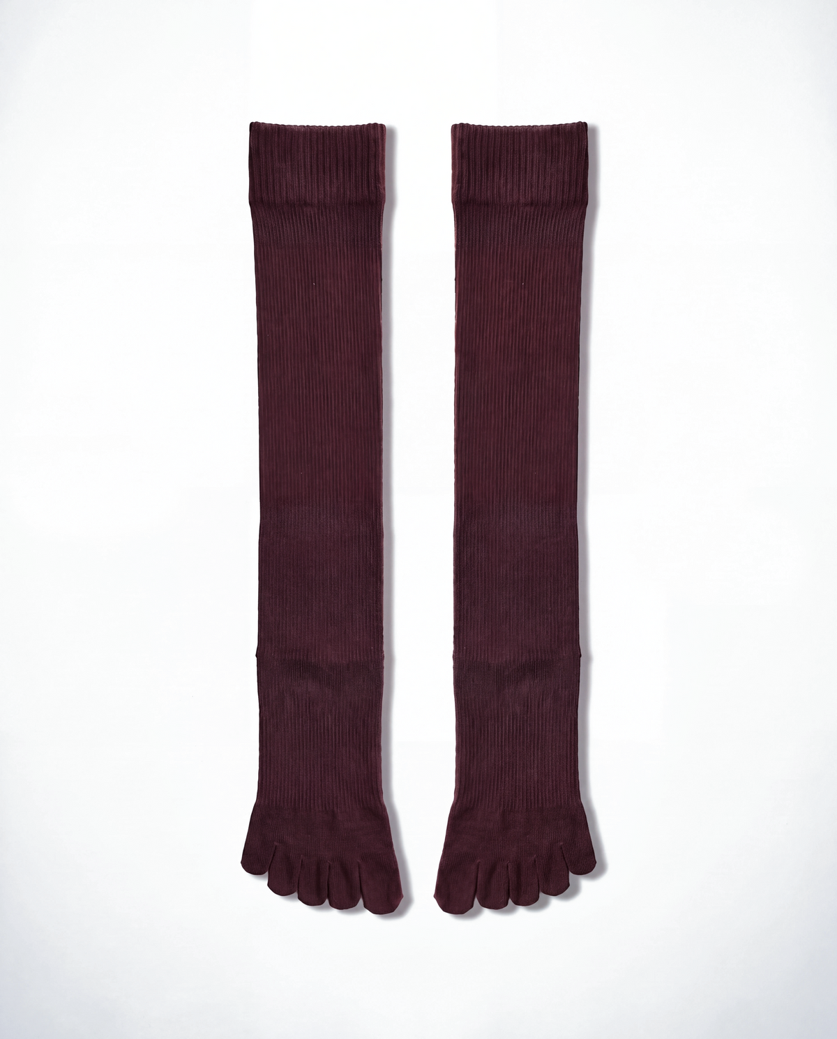 legitude socks