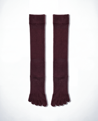 legitude socks