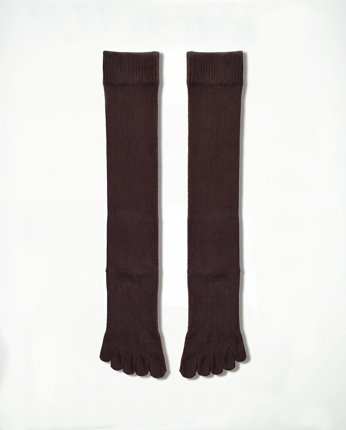 legitude socks