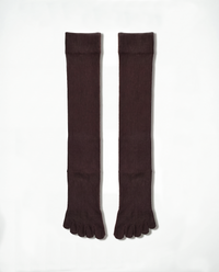 legitude socks